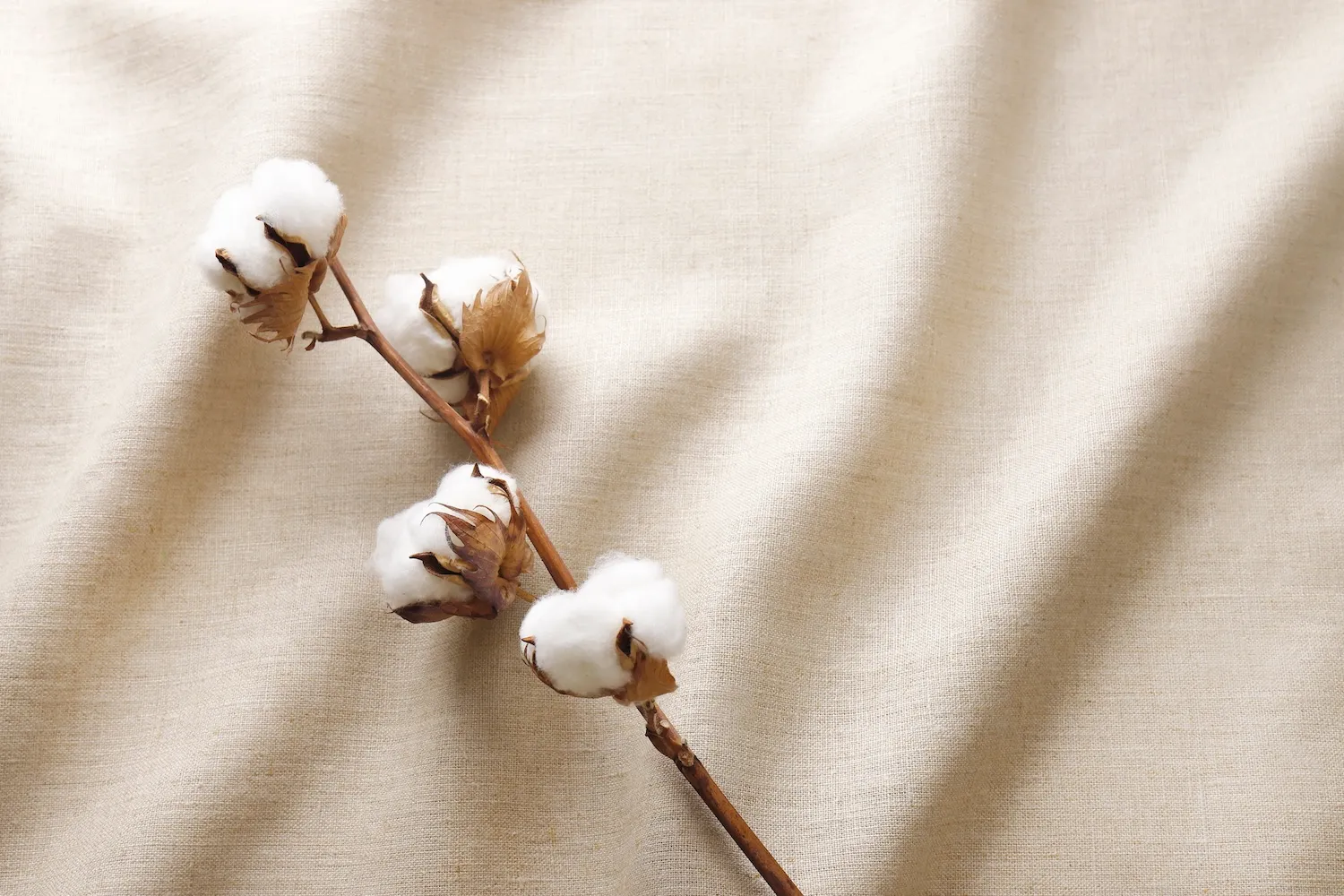 コットンの洗濯方法