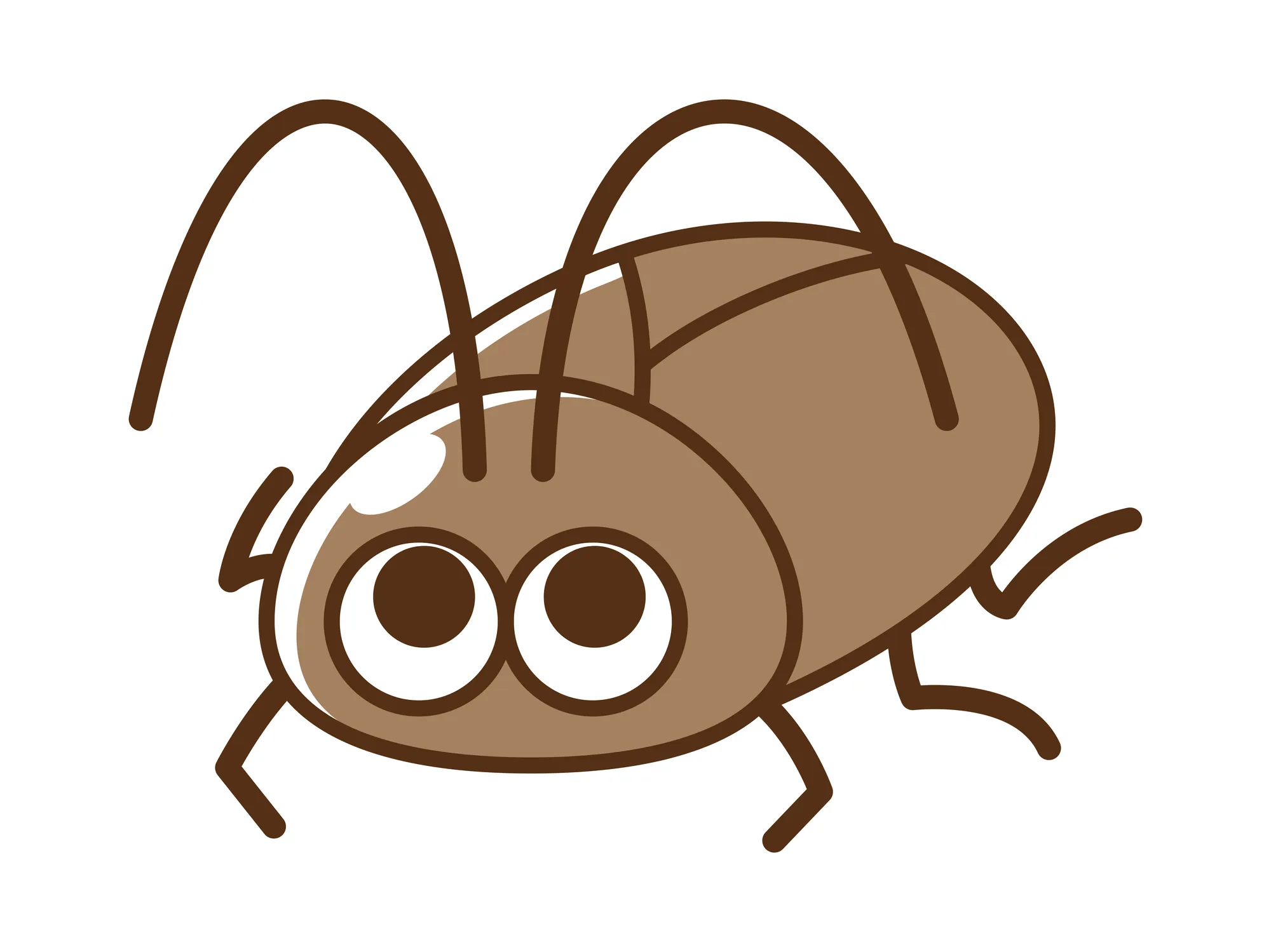 洗濯機に出たゴキブリの駆除方法