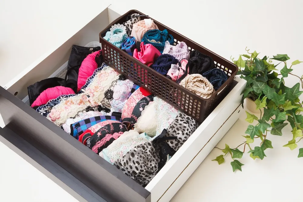 整頓されたブラ