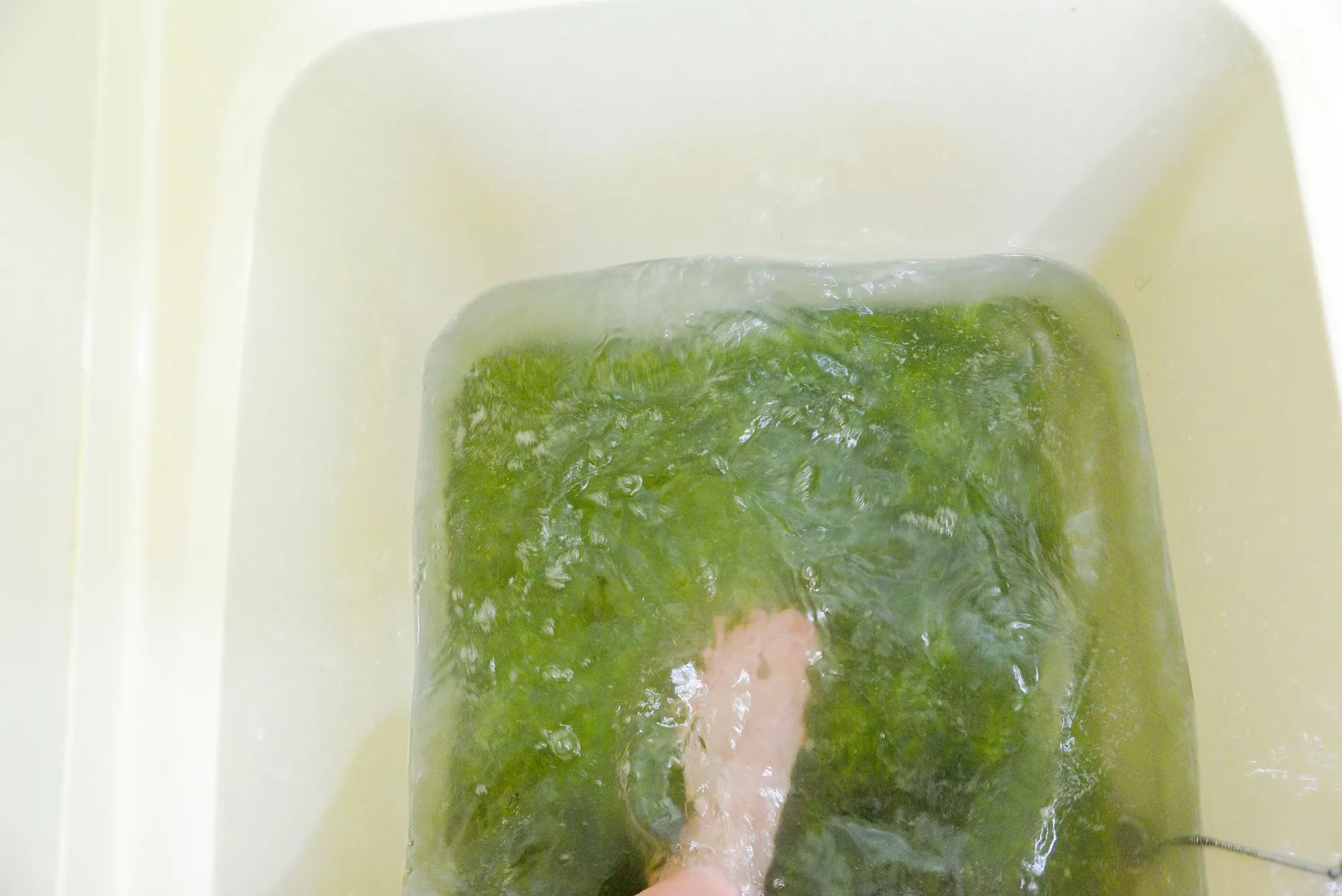 ラグを10分ほど踏み洗いする